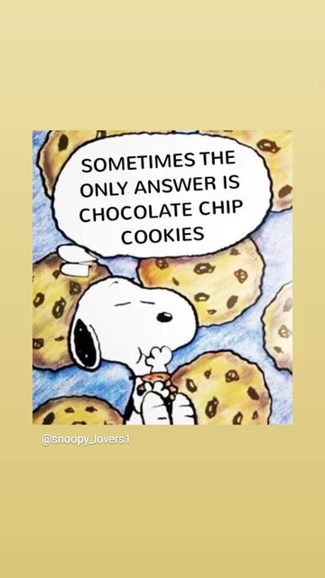 Snoopy mit vielen Keksen.
Text: Sometimes the only answer is chocolate chips cookies. 