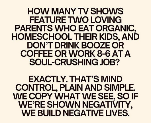 HOW MANY TV SHOWS FEATURE TWO LOVING PARENTS WHO EAT ORGANIC, HOMESCHOOL THEIR KIDS, AND DON’T DRINK BOOZE OR COFFEE OR WORK 8-6 AT A SOUL-CRUSHING JOB? 

EXACTLY. THAT’S MIND CONTROL, PLAIN AND SIMPLE. WE COPY WHAT WE SEE, SO IF WE’RE SHOWN NEGATIVITY, WE BUILD NEGATIVE LIVES. 