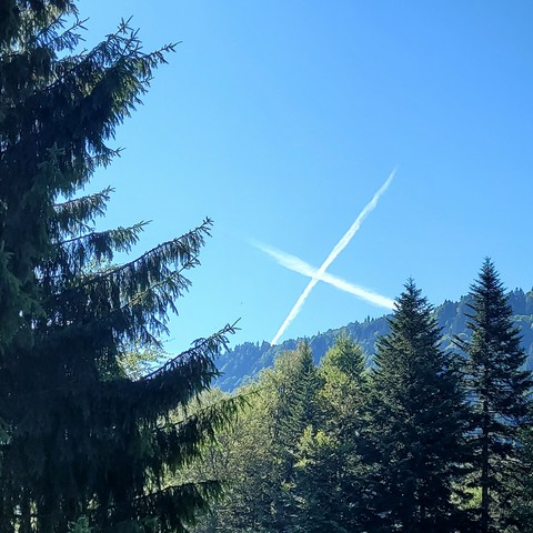 Überm Wald ein weißes Kreuz am Himmel 