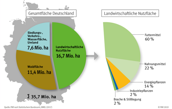 Ein Tortendiagramm, welches die Gesamtfläche Deutschlands und die Aufteilung in Siedlung/Verkehr/Wasser/Umland, Waldfläche und Landwirtschaftliche Nutzfläche aufteilt. Daneben wird die landwirtschaftliche Fläche noch unterteilt in die Nutzung für Futtermittel, die Nutzung für Nahrungsmittel (nur 22%), Energie und Sonstiges.
