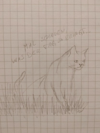 Zeichnung einer Katze, die sich im hohen Gras anschleicht, Bildüberschrift: 