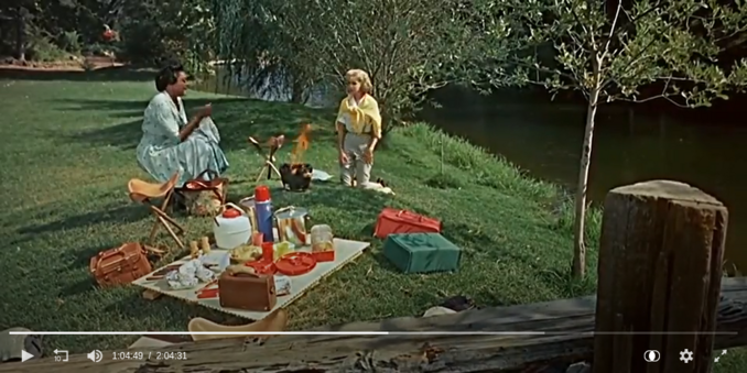 Picnic scene from the movie.
Susi (Sandra Dee) and Annie Johnson (Juanita Moore) and a nice picnic on a green meadow, next to a body of water.
