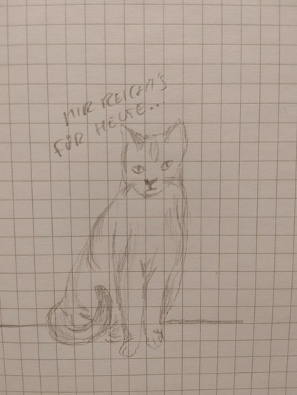 Zeichnung einer sitzenden Katze von vorn, Bildüberschrift: 