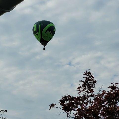 Ballon über Bäumen 
