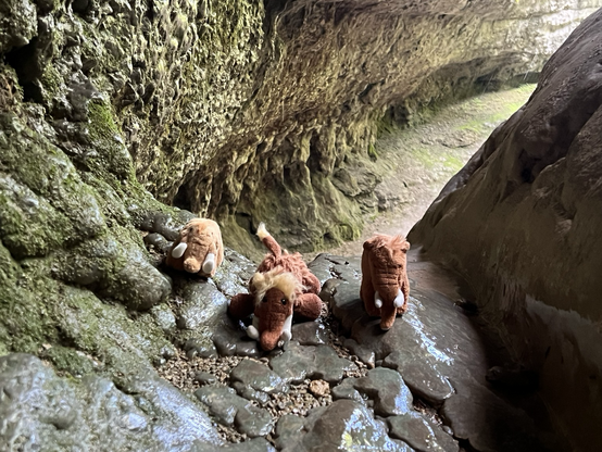 Die drei plüschigen Mammuts auf Steinen hinter dem Wasserfall