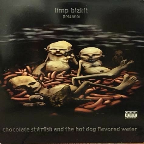 Cover des Albums „Chocolate Starfish and the Hot Dog Flavored Water“