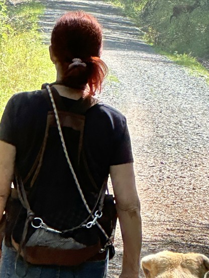 Eine Person mit roten Haaren, von hinten gesehen, geht mit einem Hund auf einem Kiesweg. Am rechten oberen Bild and steht im hohen Gras ein Reh