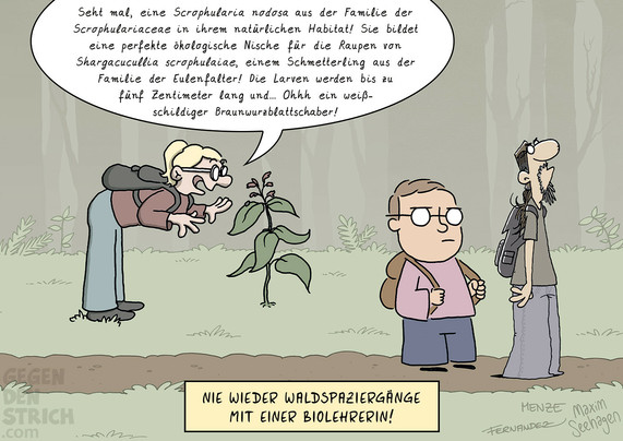 Cartoon: Eine Frau, ein junger und ein etwas älterer Mann sind zu dritt im Wald. Die Frau beugt sich begeistert über eine Pflanze und sagt: 