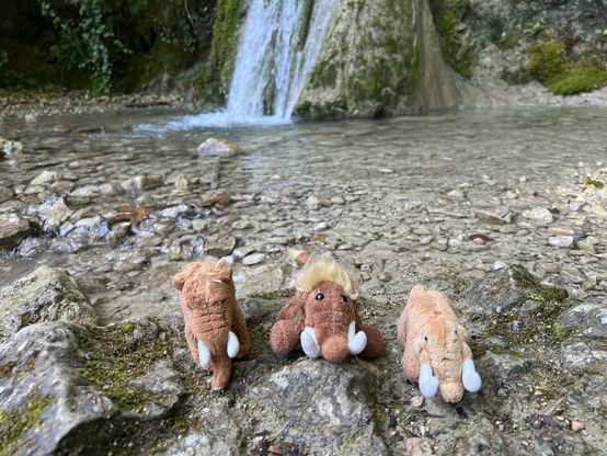 Die drei plüschigen Mammuts auf einem Steineinem Stein Vor dem Wasserfall