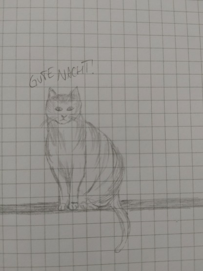 Zeichnung ei er sitzenden Katze von vorn, Bildüberschrift: 
