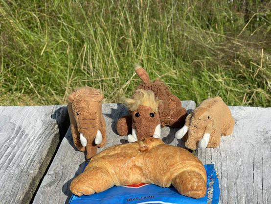 Die drei plüschigen Mammuts mit einem Croissant