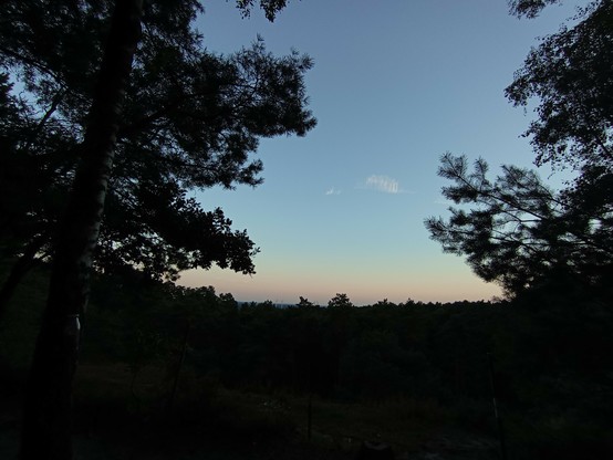 Blick aus dem dunklen Wald in die Ferne, nach Sonnenuntergang. Eine Schleierwolke in der Mitte.
