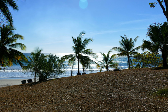 Blick über die Kuppe eines kleinen Hügels, der von vertrocknetem Gras bedeckt ist, auf den Pazifik. Das Wasser glitzert im Licht der Sonne. Am Ufer Palmen. Blauer Himmel.