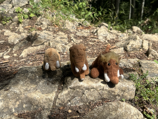 Die drei plüschigen Mammuts auf Felsen
