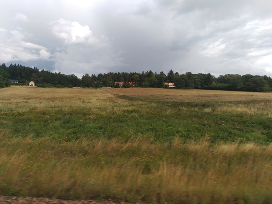 Gelbgrüne Ackerlandschaft Nähe Uppsala.