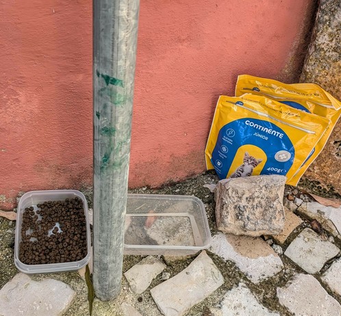 vor einem Haus stehen am Boden zwei Tüten mit Trockenfutter für kleine Katzen und zwei Schüsseln. gefüllt mit Futter und Platz für Wasser 