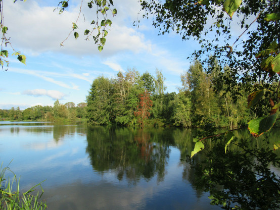 Blick über einen See, der von Bäumen umstanden ist. Auf einer Insel leuchten Vogelbeeren.