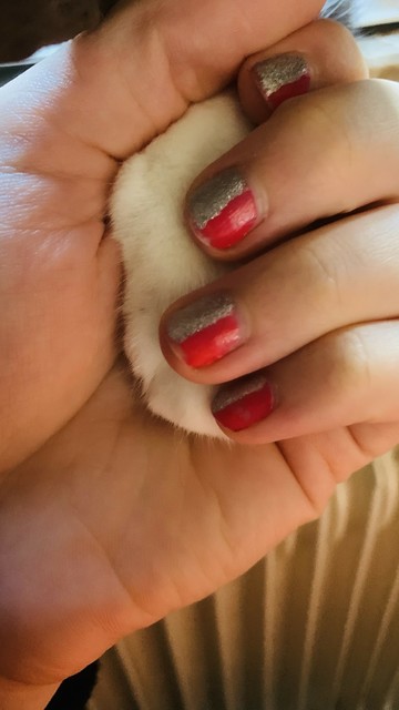 A hand holding a small animal's paw. The nails are painted with a gradient of pink and silver. The background features soft, neutral colors.