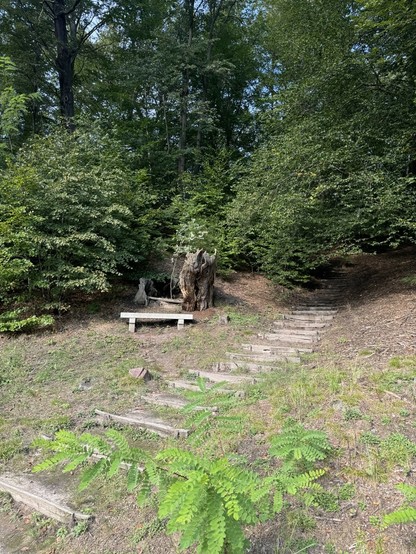 Eine kleine Treppe aus Holz (sehr naturbelassen)   führt einen Anhang hinauf in den Wald. Links steht eine Bank. 