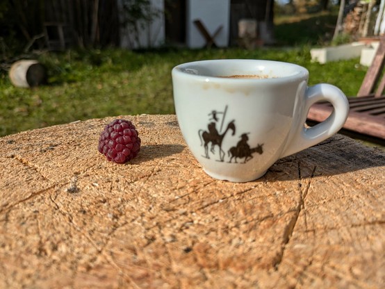 auf einem Stück Holz steht eine Espressotasse und daneben liegt eine große dunkelrote Himbeere 