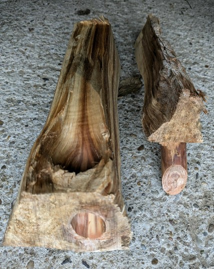 zwei Stücke Holz. In einem ein längliches leeres Astloch und das dazu passende Gegenstück liegt daneben 