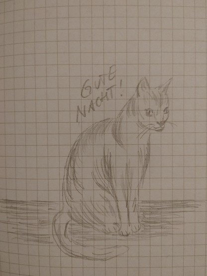 Zeichnung einer sitzenden Katze schräg von der Seite, Bildüberschrift: 