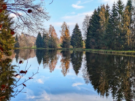 ein ruhiger See spiegelt den blauen Himmel mit dünnen Wolken und außen rum stehen grüne und bunte Bäume 