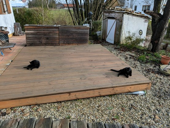 zwei kleine schwarze Katzen putzen sich mit gebührendem Abstand auf einer Holzterrasse 