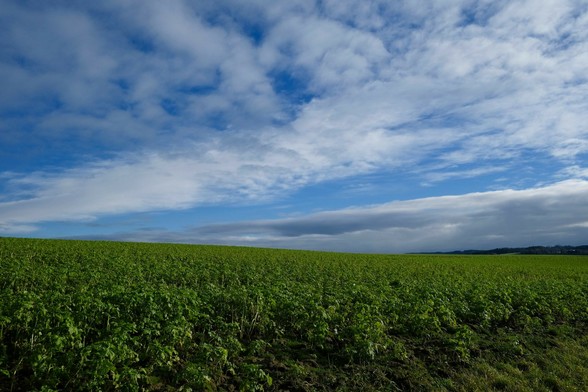 ein grünes Feld im Vordergrund, drüber blauer Himmel und helle weiße dünne Wolken. Am rechten Rand ein dunkles Wolkenband 