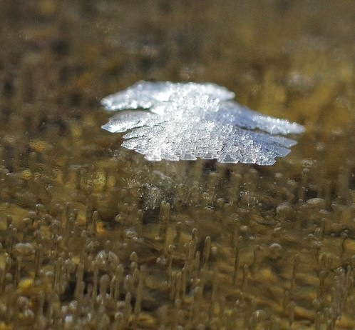 ein sehr kleiner Haufen Wasserkristalle von der Seite auf einer zugefrorenen Pfütze mit braunem Untergrund 