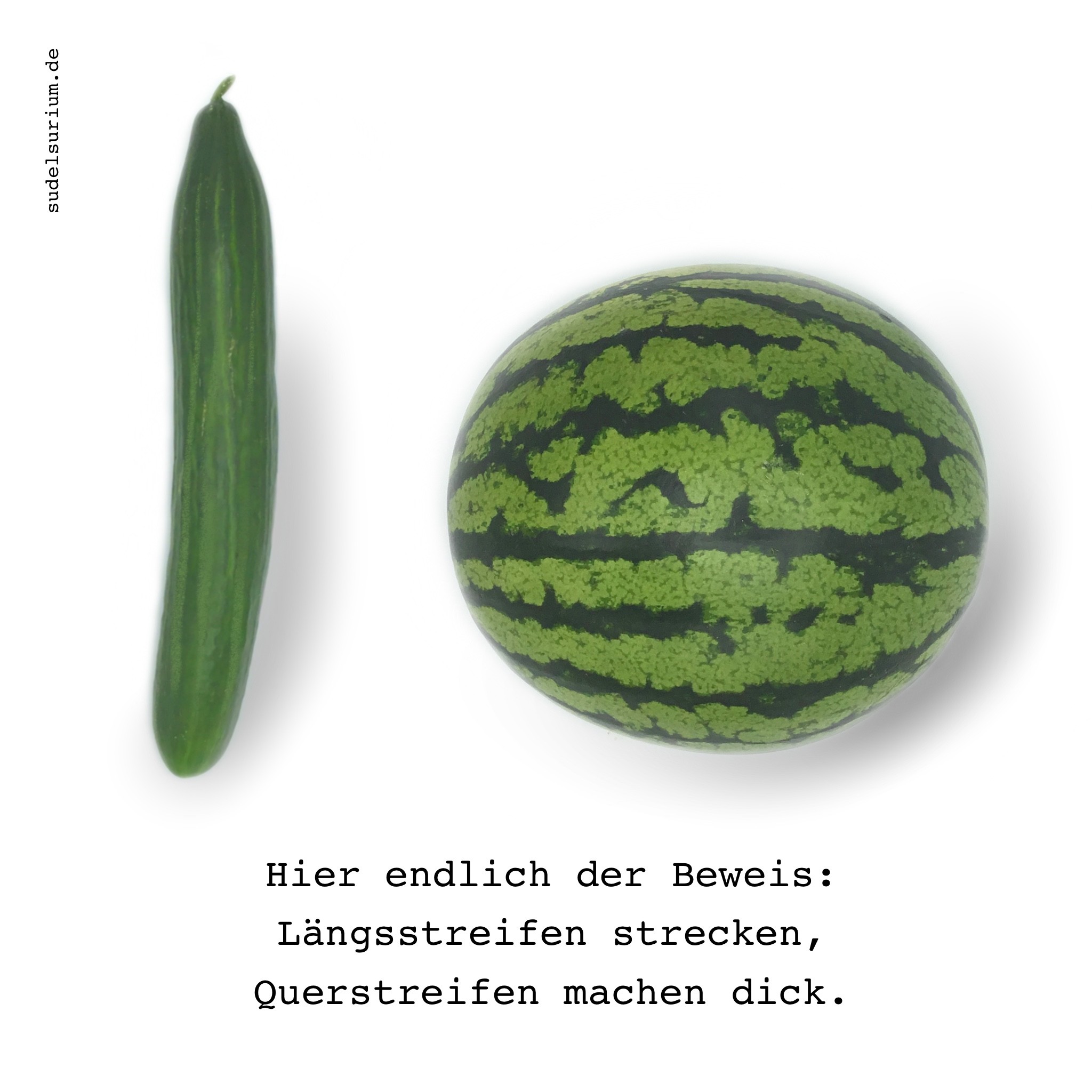Zu sehen sind vor weißem Hintergrund eine aufrecht stehende, schlanke Salatgurke mit Längsriffeln und daneben eine kugelige Wassermelone mit quer verlaufendem Muster. Unter dem Bild steht: „Hier endlich der Beweis: Längsstreifen strecken, Querstreifen machen dick.“