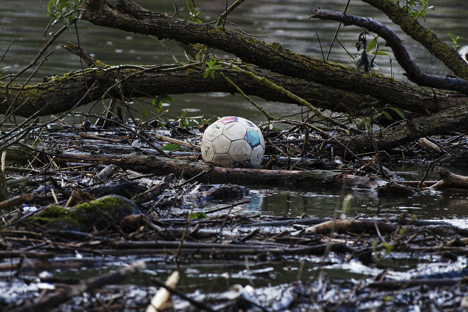 Ein Fußball liegt zwischen weiteren angeschwemmten Ästen in einem Gewässer.  Einer der Lederflecken des Balles ist blau