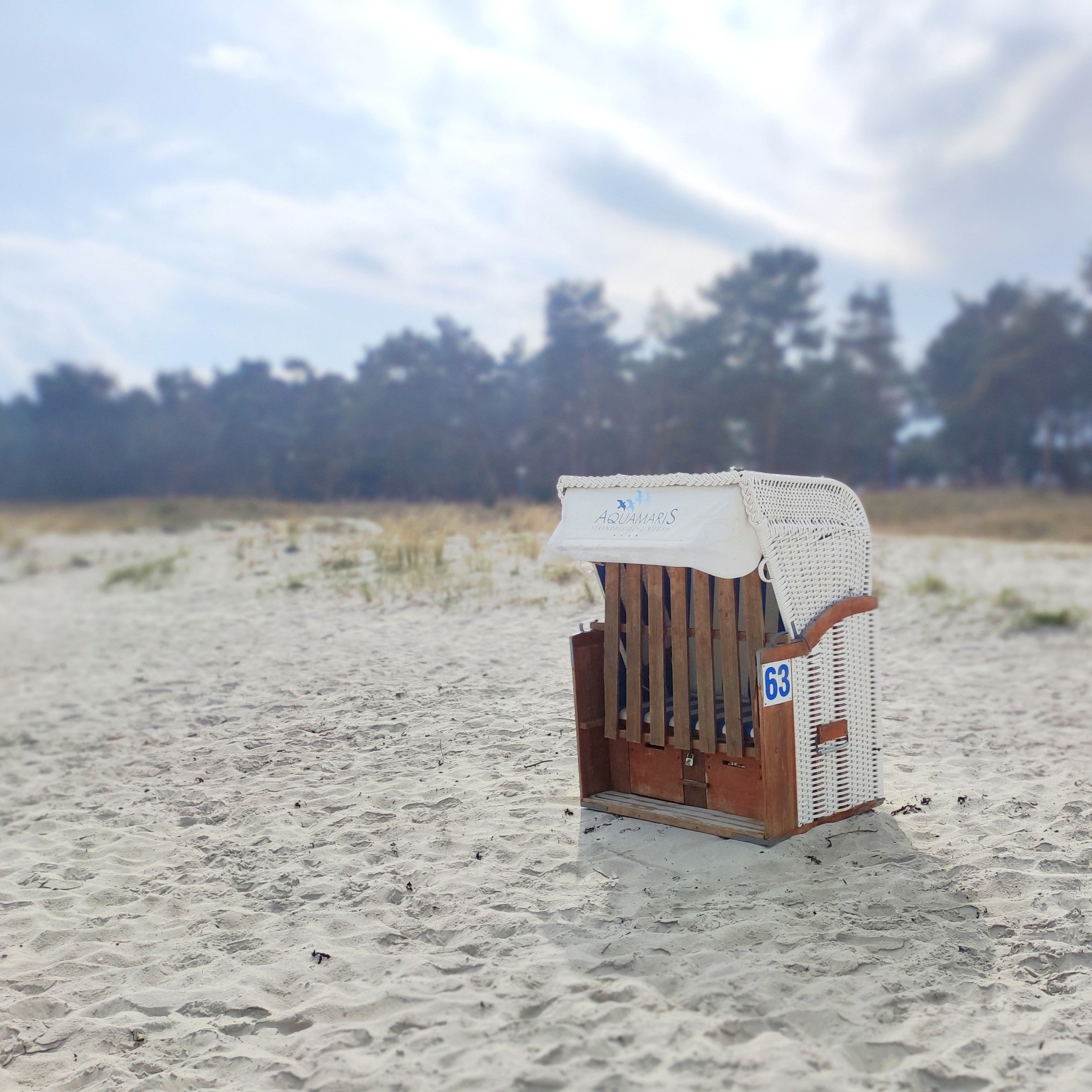 Das Bild zeigt einen weißen Strandkorb mit der Nummer 63. Der Korb steht auf einem weichen, sandigen Strand, der von einer Reihe von Bäumen im Hintergrund umgeben ist. Der Himmel ist leicht bewölkt. Der Sand ist leicht zerstreut, was auf die Nähe zum Wasser hinweist. Die Umgebung wirkt ruhig und idyllisch, ideal für einen entspannten Strandtag.