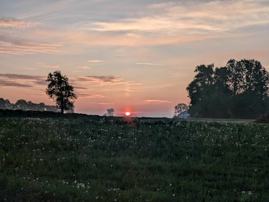 eine kleine orange Scheibe über dem Horizont. Laubbäume links und rechts am Bildrand 