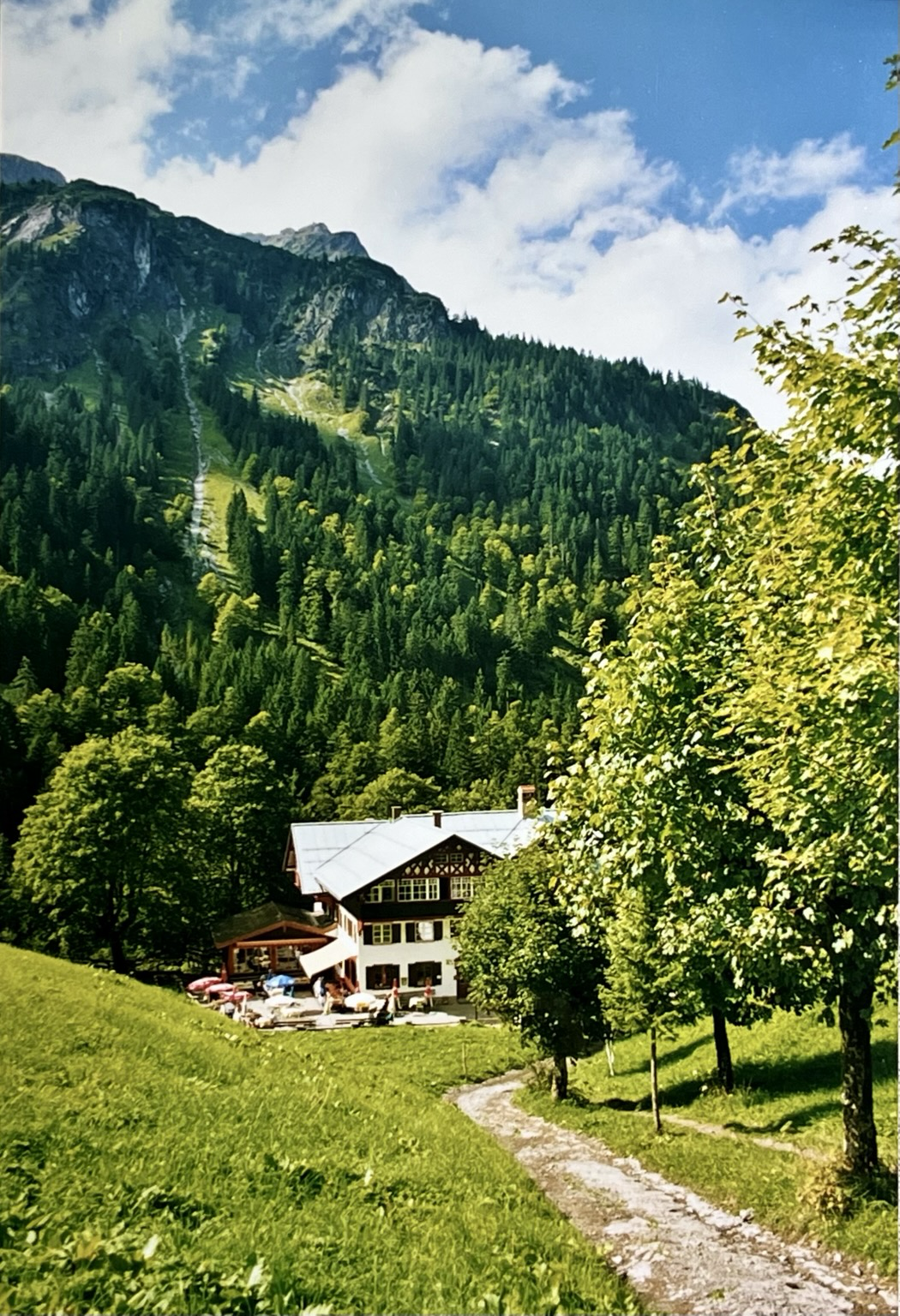 Ich nähere mich einen Berggasthof zwischen vielen grünen Bäumen. Im Hintergrund erheben sich grün bewaldete Berge. Ich nähere mich einen Berggasthof zwischen vielen grünen Bäumen. Im Hintergrund erheben sich grün bewaldete Berge.