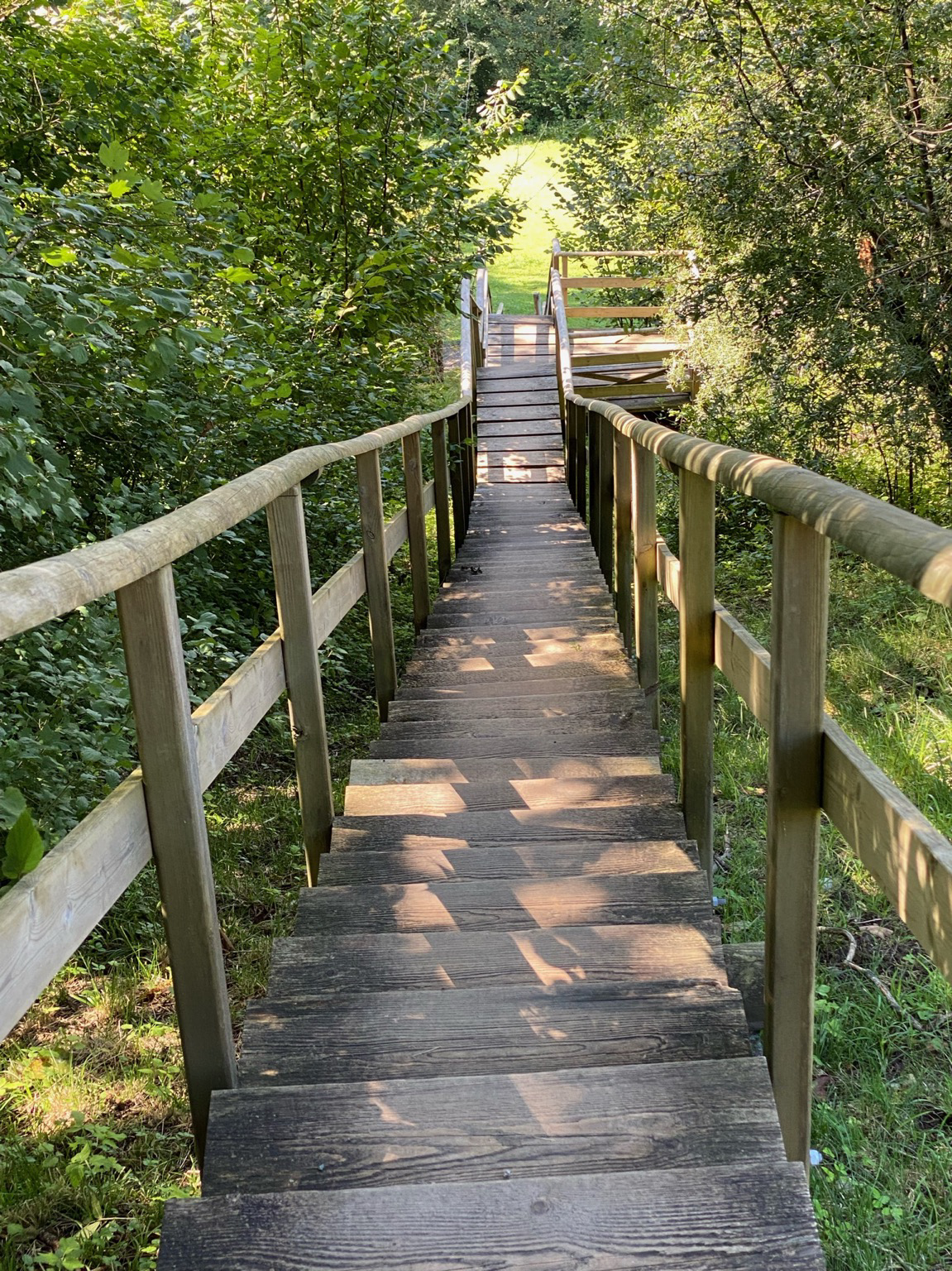 Treppen und Geländer aus Holz Treppen und Geländer aus Holz