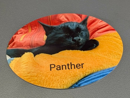 eine ovale Metallplakette liegt auf grauem Untergrund.nAuf der Plakette schläft ein kleiner schwarzer Kater mit geschlossenen Augen auf untergeschlagenen Beinen. Dahinter eine orange Jacke.