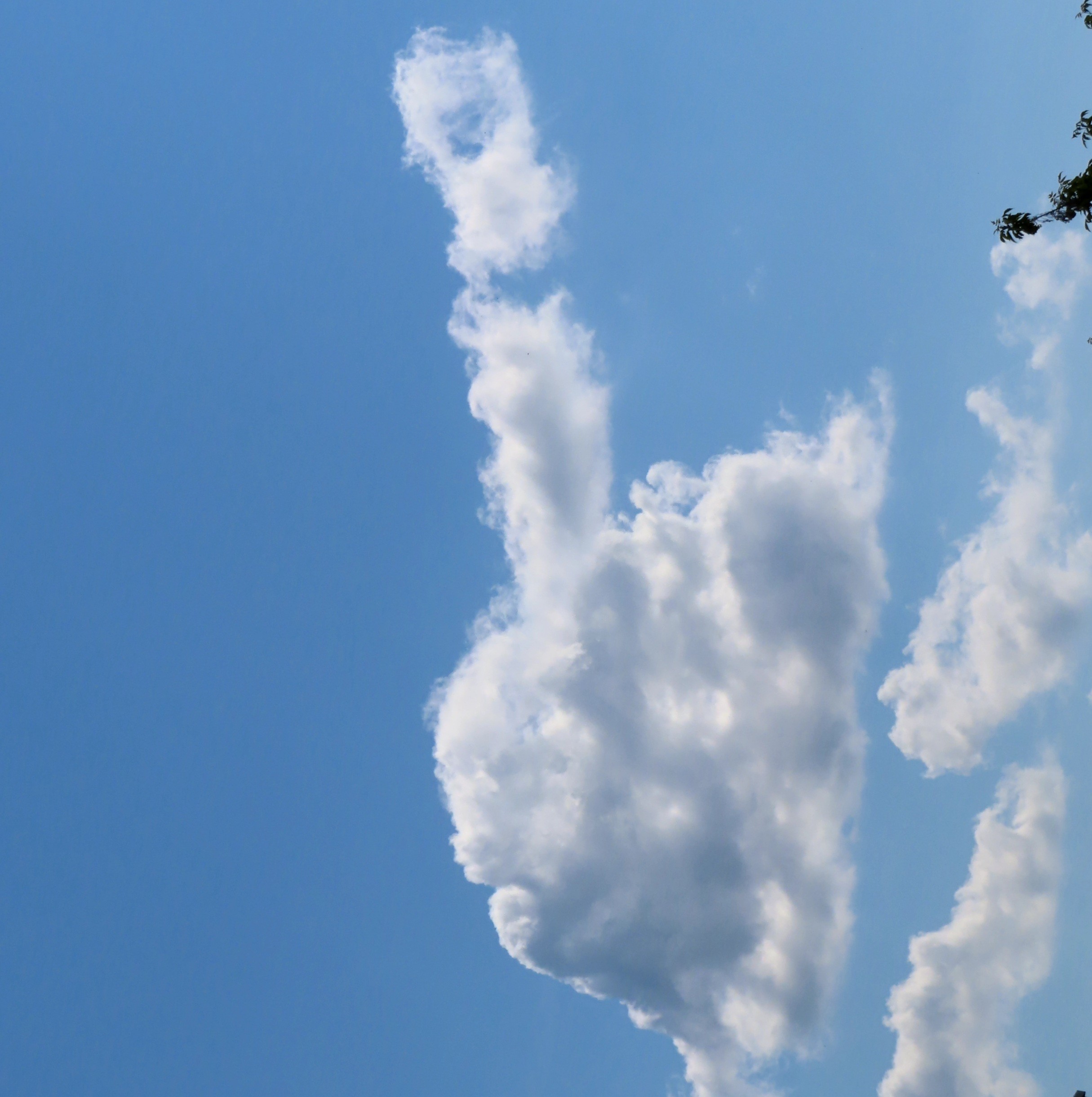 MitelfingerWolke 