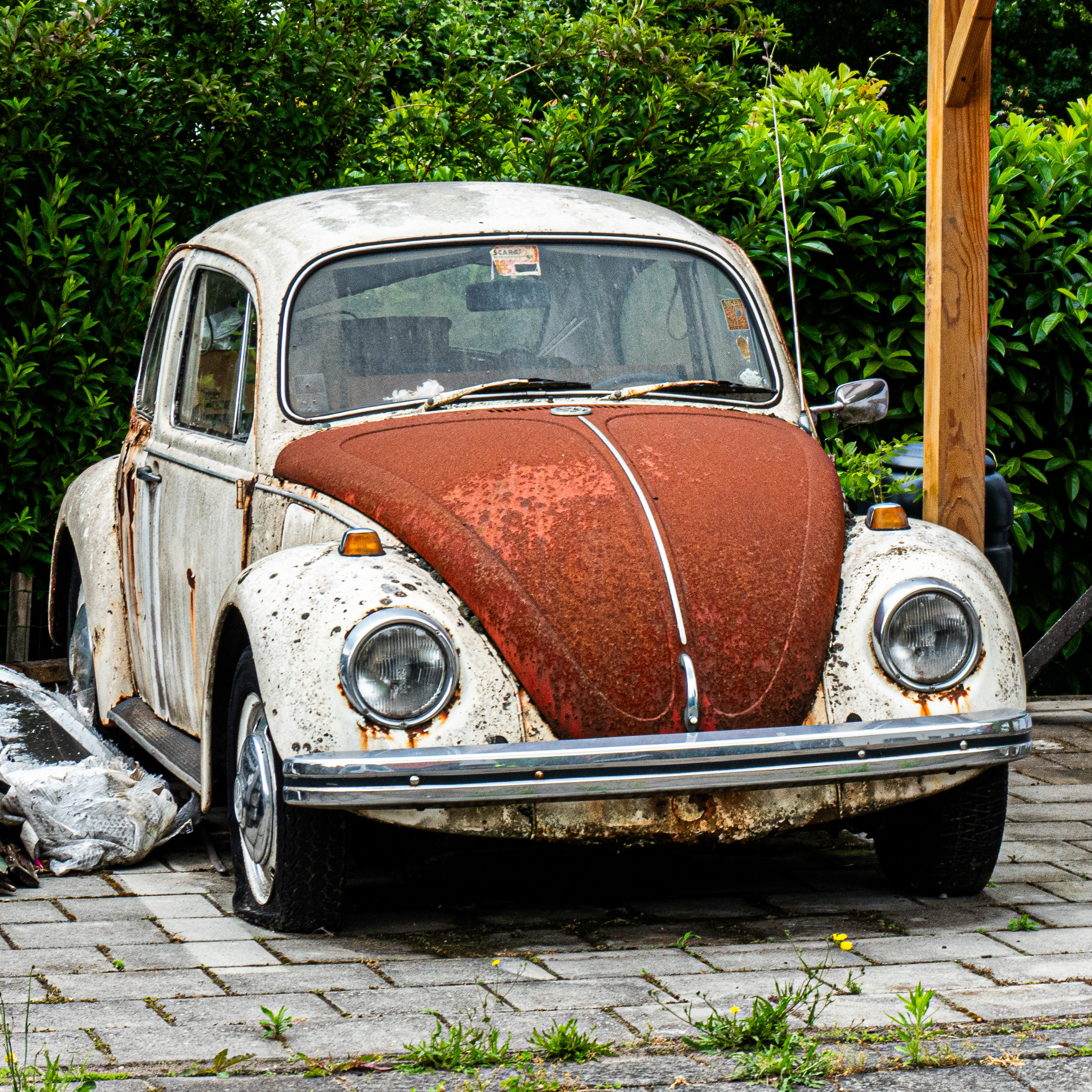 Ein alter VW Käfer, weiß mit bräunlicher Motorhaube. Das Auto ist sehr, sehr rostig und die Reifen sind platt, aber das Chrom glänzt. Hinter das Auto sind Büsche.
An old VW Beetle, white with a brownish hood. The car is very, very rusty and the tires are flat, but the chrome shines. There are bushes behind the car. Ein alter VW Käfer, weiß mit bräunlicher Motorhaube. Das Auto ist sehr, sehr rostig und die Reifen sind platt, aber das Chrom glänzt. Hinter das Auto sind Büsche.
An old VW Beetle, white with a brownish hood. The car is very, very rusty and the tires are flat, but the chrome shines. There are bushes behind the car.