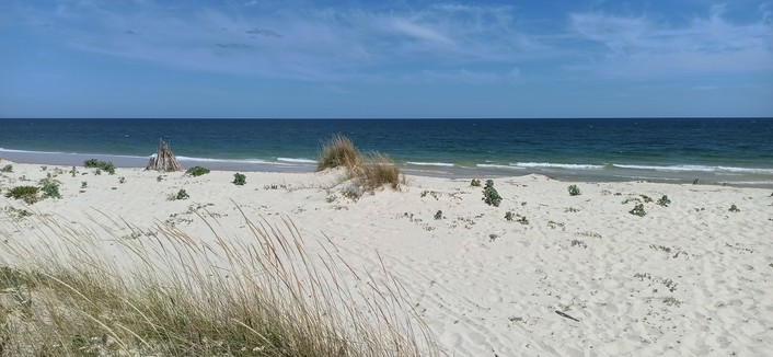 Foto von der zwei Meter hohen Düne auf das Ufer geschossen. Im Vordergrund hohe Halme des Strandhafers, dann weißer Sand und im Abstand von zwei bis drei Metern grüne Pflanzen mit Durchmesservon 30 Zentimetern. Nach 20 Metern kommt die Abbruchkante zum Meer hin, 20 Zentimeter hohe Wellen laufen auf das Ufer. Wasser türkis, Himmel strahlend blau zur Mittagszeit.