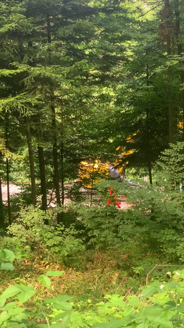 Video: Ein gelber Bagger fährt auf dem totalzusanierenden Trassee, durch die Bäume von oben kaum zu sehen, Gleisbauer bewegen sich mit, grosser Lärm
