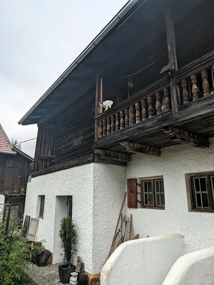 ein Teil eines alten Bauernhofs, und auf dem Balkongeländer im 1. Stock sitzt eine junge fast weiße Katze