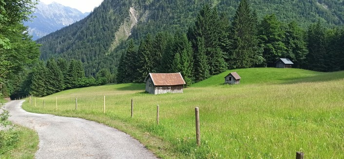 Auf eine Bergwiese, die noch nicht gemäht wurde, stehen im Abstand von jeweils 20-40 Meter verteilt Heuschober aus Holz. Sie sind mit roten Biberschwarzziegeln gedeckt und bieten einen schönen farbigen Kontrast zum Grün der Wiese. Vor der Wiese schängelt sich ein gekiester 2.50 Meter breiter Wirtschaftsweg, dahinter Stempen, die die Drähte der Weidezaunbegrenzung halten. Im Hintergrund ein bewaldeter Berg. Licht Sonnenschein, ca. 17 Uhr Spätnachmittag.
