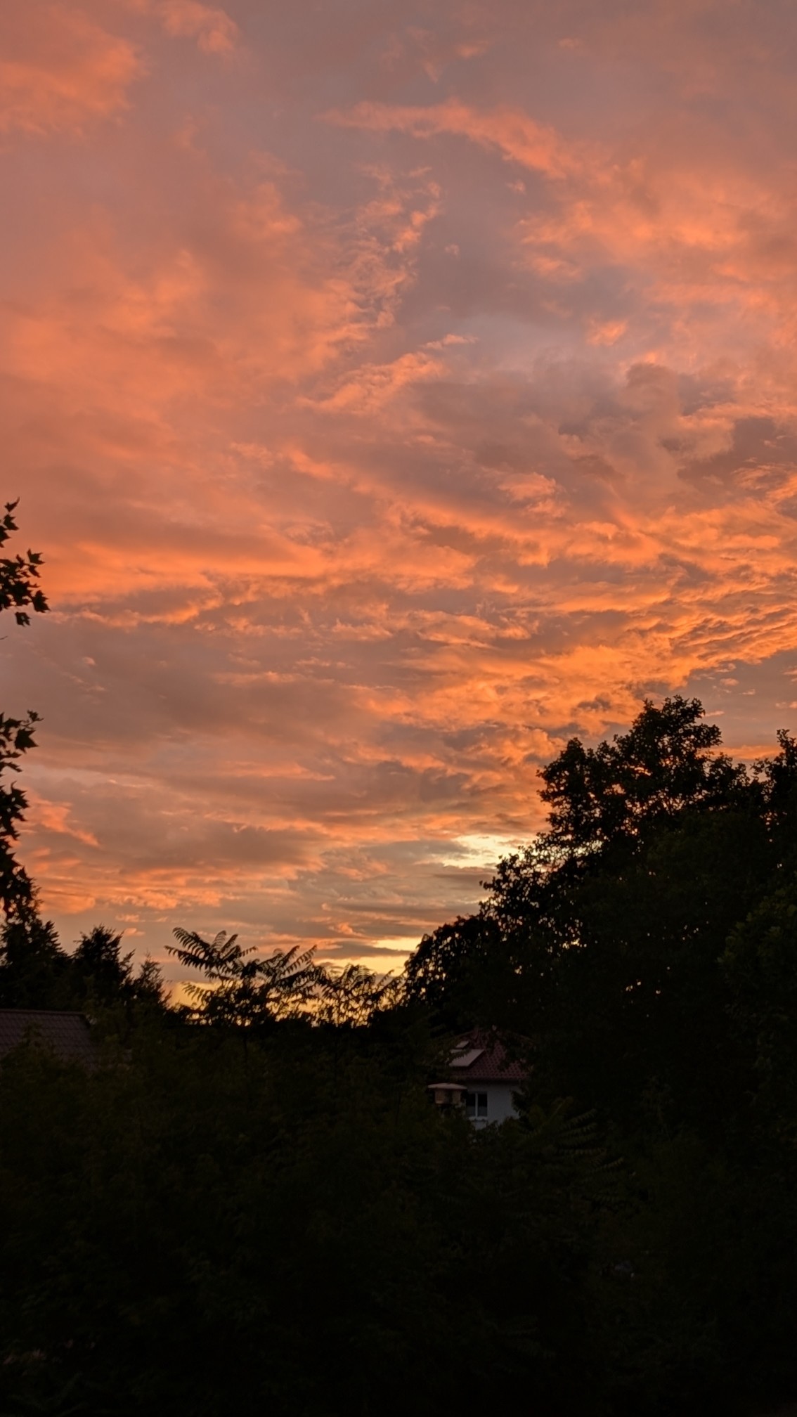 Das Bild zeigt einen atemberaubenden Sonnenuntergang mit einem Himmel, der in warmen Orange- und Rottönen erstrahlt. Die Wolken sind dicht und variieren in Form und Größe, wobei einige besonders hell leuchten und andere dunkler erscheinen. Der Himmel ist von einem leichten Blau durchzogen, das sich am Horizont mit den warmen Farben mischt. Im Vordergrund sind die Silhouetten von Bäumen und Büschen zu sehen, die den Himmel umrahmen. Ein Teil eines Hauses mit einem roten Dach ist sichtbar, eingebettet in die Natur. Die gesamte Szene vermittelt eine ruhige und friedliche Atmosphäre, die die Schönheit des Abendhimmels hervorhebt. Das Bild zeigt einen atemberaubenden Sonnenuntergang mit einem Himmel, der in warmen Orange- und Rottönen erstrahlt. Die Wolken sind dicht und variieren in Form und Größe, wobei einige besonders hell leuchten und andere dunkler erscheinen. Der Himmel ist von einem leichten Blau durchzogen, das sich am Horizont mit den warmen Farben mischt. Im Vordergrund sind die Silhouetten von Bäumen und Büschen zu sehen, die den Himmel umrahmen. Ein Teil eines Hauses mit einem roten Dach ist sichtbar, eingebettet in die Natur. Die gesamte Szene vermittelt eine ruhige und friedliche Atmosphäre, die die Schönheit des Abendhimmels hervorhebt.