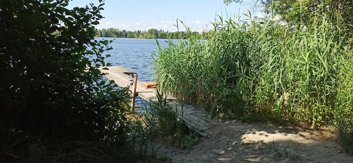Bild auf einen See im Sonnenlicht fotografiert, ein schmaler Zugang aus Sand führt auf einen Steg und in den See. Links Dichte grüne Büsche, rechts hohes Schilf.