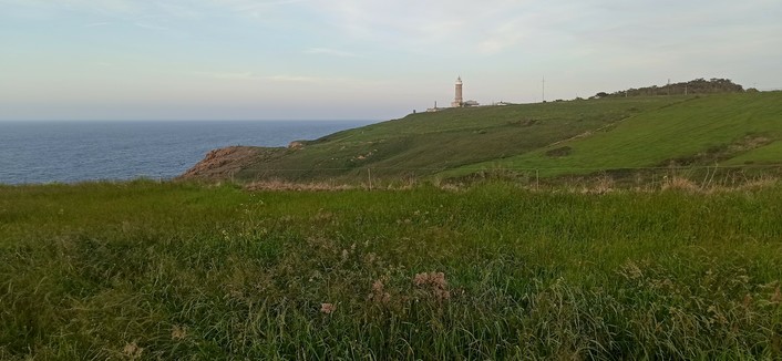 Leuchtturm im Abendlicht auf einer hohen Klippe über dem Meeresufer, das in der linken Bildhälfte steil nach unten hin abfällt. in der Bildmitte der in rotem Ziegel gehaltene Leuchtturm auf einem Hügle, der nach rechts hin noch weiter ansteigt. Im Vordergrund hohe grüne Wiese mit vielen verschiedenen Blüten und Gräsern 