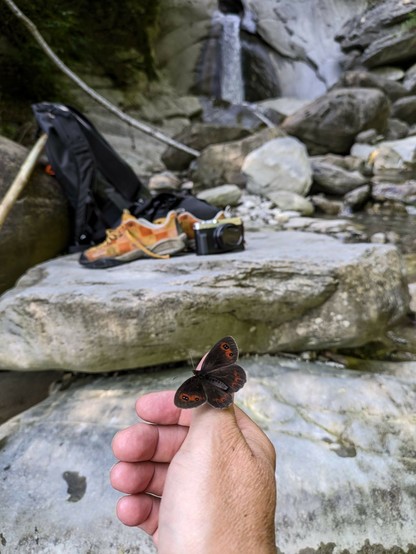 ein brauner Schmetterling sitzt auf der rechten Hand. Dahinter auf Felsen unscharf orange Schuhe, ein schwarzer Rucksack, und ein Wasserfall