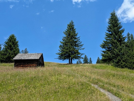 ein Weg durch eine Bergwiese mit einem hölzernen Heuschober und einer Bank unter einer Dreier Fichtengruppe. Blauer Himmel