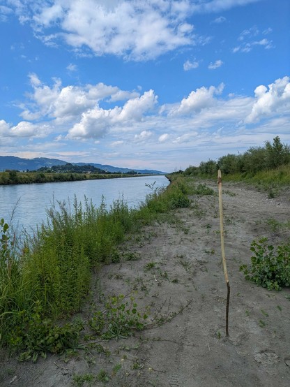 ein grünliches Gewässer, blauer Himmel mit weißen Wolken, ein Stecken steht im Sand vom Ufer