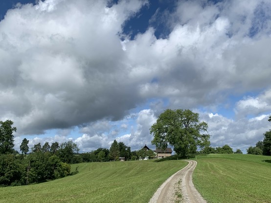 Schon auf der Höhe